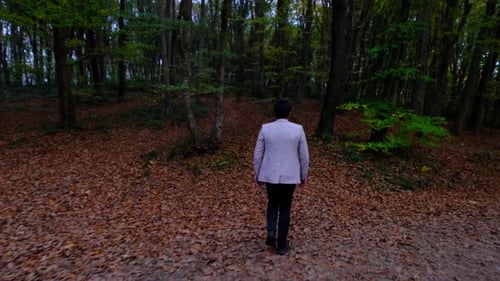 Hiking Man Forest