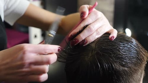 Hairdresser Cutting Wet Hair in Beauty Salon