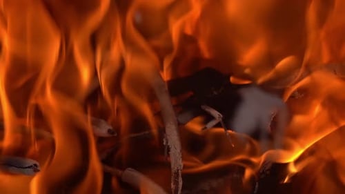 Burning Flames Engulfing Twigs Close Up