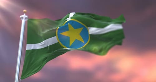 Waving Flag of Rondônia State, Brazil