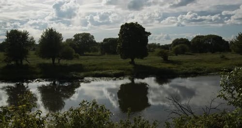 Landscape Of Trees And Sky By The River