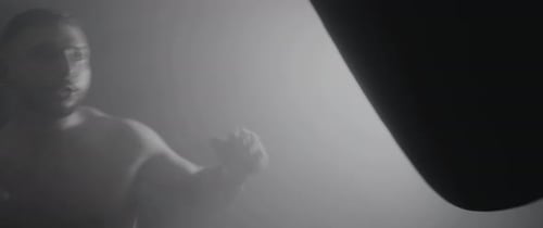 Boxer