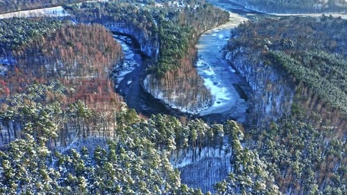 Cold forest and frozen river with ice in winter.