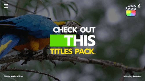 Simple Modern Titles /Fcpx