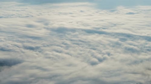 Nebel bewegt sich