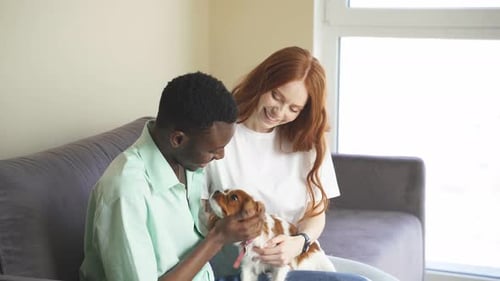 Smiling Couple Bonding With Dog On Sofa