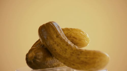 Pickled Gherkins Rotating Loop