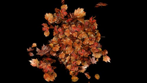 Autumn Leaves Particles Burst no Plugins