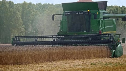 Une moissonneuse-batteuse récolte des récoltes de blé sur les terres agricoles