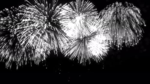 Bright White Fireworks Celebration Bursting Animation