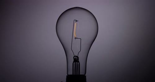 Light Bulb