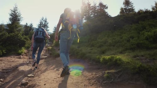 A Group of Young People Climb a Mountain Friends on a Hike