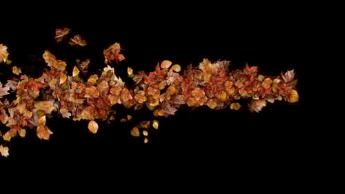 Autumn Leaves Particles Motion Path no Plugins