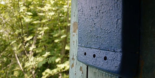Peeling Blue Paint With Forest Background