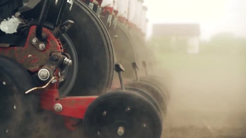 sowing the field with corn grains. tractor works the field with a seeder.