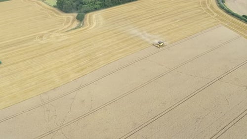 Aerial View of Combine Harvester Harvesting Golden Field