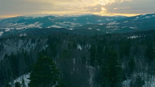Forest Mountains Snow Cold Winter Wood Hill Frozen Travel Nature