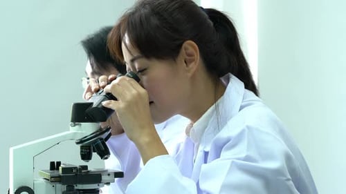 Scientists looking microscope