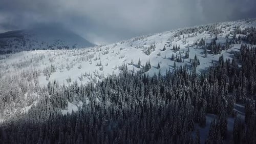 Aerial view of winter mountains, Beautiful landscape above forest covered with snow