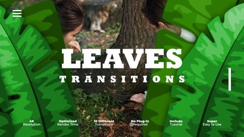 Leaves Transitions