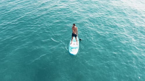 Young Man Paddleboarding in Clear Ocean from Above