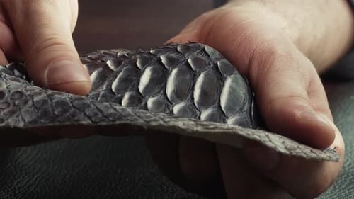 Hands Inspecting Exotic Snakeskin Leather Material