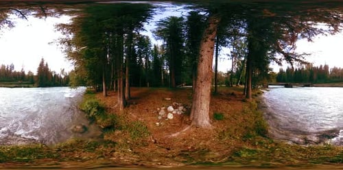 Immersive VR View of River Island with Trees