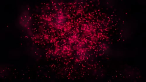 Glowing WiFi Symbol Particle Reveal Logo Intro