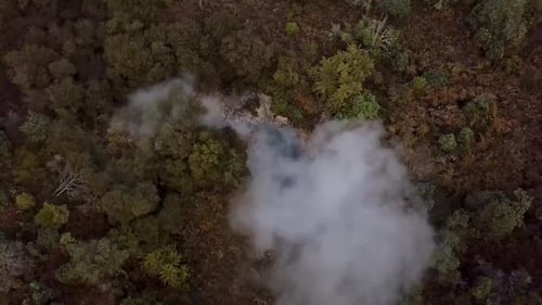 Piscina quente na floresta tropical