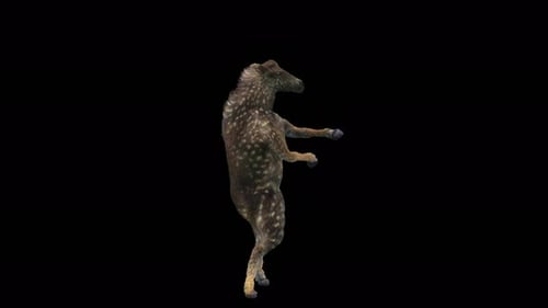 Spotted Fawn-like Animal Dancing on Hind Legs 3D Alpha Channel