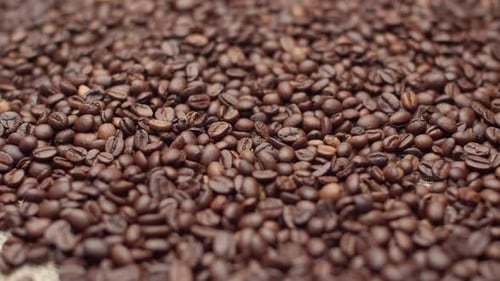 Coffee Beans Fill the Entire Space