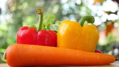 Variety fresh vegetable on rotating plate with water spray