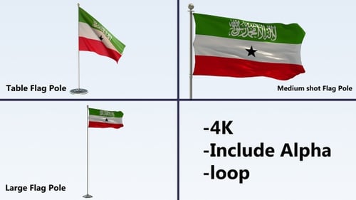 Realistic Somaliland Flag Waving Animation with Alpha Channel