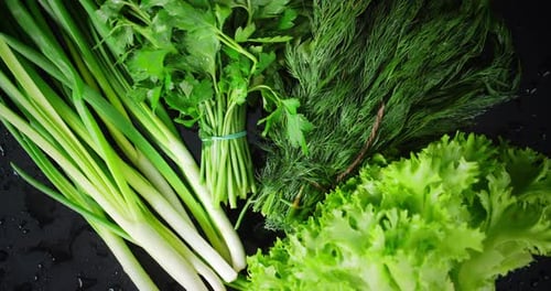Fresh Green Vegetables: Scallions, Parsley, Dill, Lettuce
