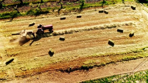 Tractor Harvesting Hay Bales in Golden Rural Field