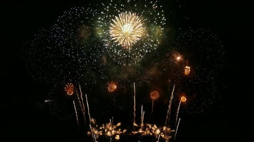 Colorful Fireworks Exploding in the Night Sky