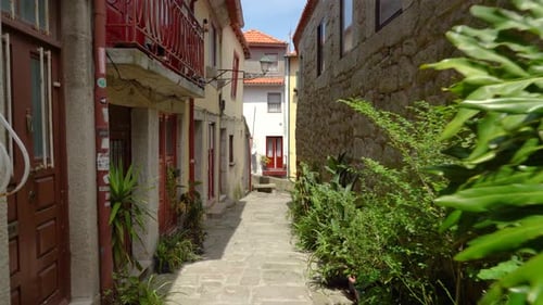 Narrow Alley with Plants and Colorful Balconies near Pillory of Porto Square