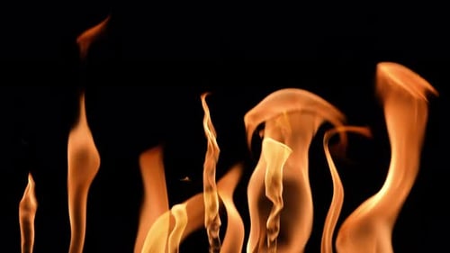 Ensemble de nombreuses flammes oranges au Ralenti sur fond noir