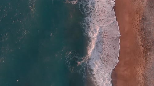 Tropical summer beach, aerial top view