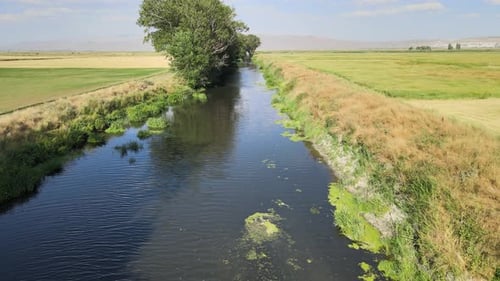 mossy river nature