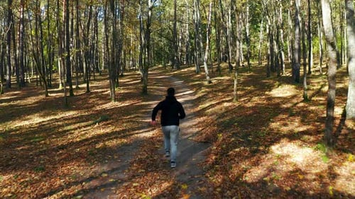 Active Man Running In Forest Trail With Dense Trees. Tracking Shot