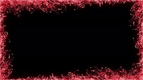 Red Graphic Flower Frame