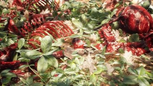 Gruesome Bloody Skeletons and Bones on Forest Floor