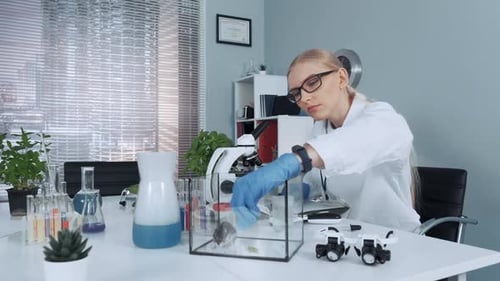 Blonde Scientist Feeds Leaf to Hamster in Lab