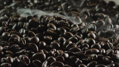 Steaming Roasted Coffee Beans Close Up