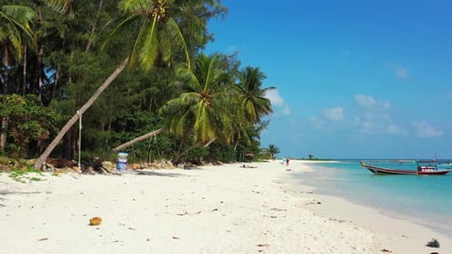 Paradise tropical island with white sandy exotic beach under palm trees with coconut seed hanging ov