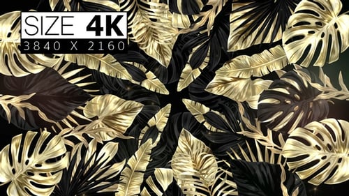 Elegant Gold and Black Tropical Leaves Looping Background