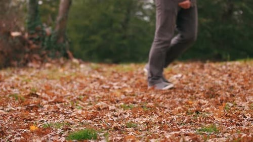 Walking Past Autumn Leaves on the Ground