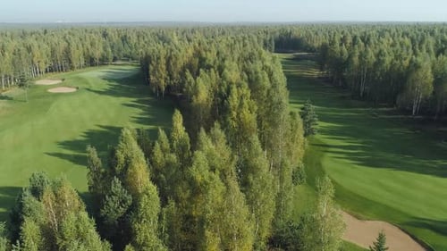 Summer Sunny Day Aerial View of Golf Course in Forest Area Golf Club View of the Field of Green Lawn