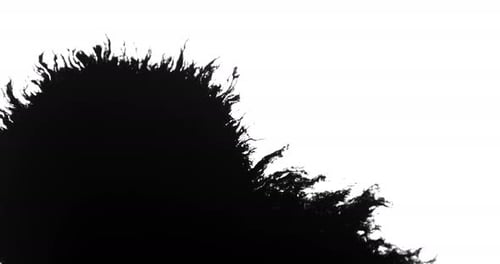 Ink Bleed 10